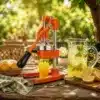 PRESSE AGRUME MANUEL INOX