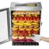 DESHYDRATEUR ALIMENTAIRE 12 PLATEAUX